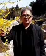 书画家资源库签约艺术家—孙兆林